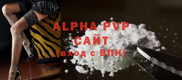 индика Бронницы