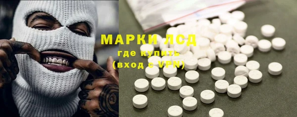 индика Бронницы