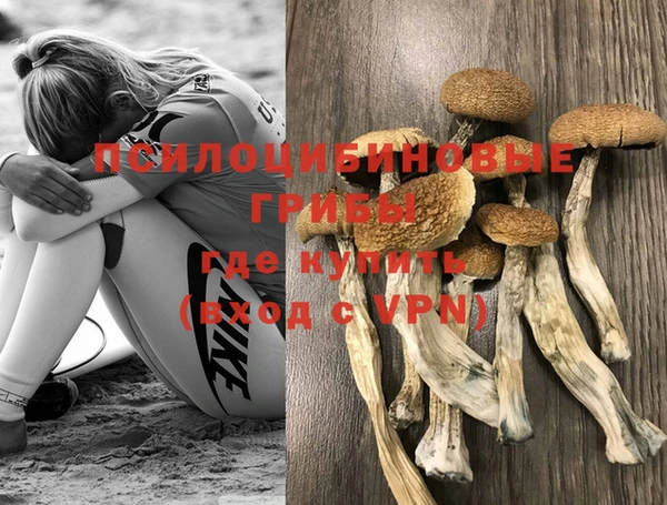 ПСИЛОЦИБИНОВЫЕ ГРИБЫ Бородино